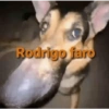 Aleatória 8