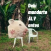Debi mandarte ALV antes