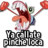 Ya cállate pinche loca