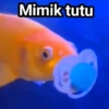 Jomok 30
