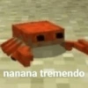 Minecraft Random 🌳🐝 16