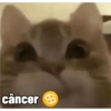câncer
