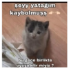 Love yani aşk 6