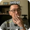 Meme anomali campuran 15