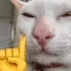 Mewing 5