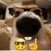PerrOoZZ🐕🐶 20