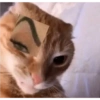 Memes Sad 5