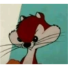 Perro  8