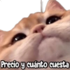 Precio y cuánto cuesta
