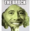 Meme~2 18