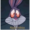 El Más Pijudo🍆 17