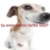 tu eres como rarito vdd?
