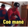 Homem aranha 14