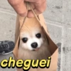 cheguei