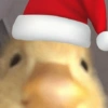 Navidad  11