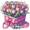 Tulipanes para toda ocasión 🌷 3