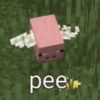 Minecraft Random 🌳🐝 14