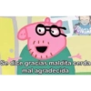 TONTAR Se dice gracias maldita cerda mal agradecida