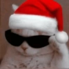 Navidad  14