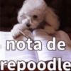 nota de repoodle