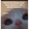 Love yani aşk 11