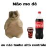 Meme gatos 8