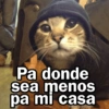 🩷😍Gatitos Con Frases🥴🐈‍⬛ 12