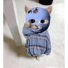 Gatito 10