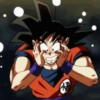Goku  22