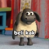 beli kak