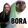 Minhas figurinhas 16