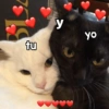 fu y yo