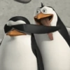 Meme Penguin 🐧 12