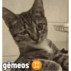 gêmeos I