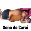 Minhas figurinhas 15