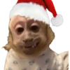 Navidad  15
