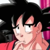 Goku  26
