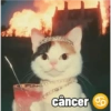 câncer