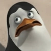 Meme Penguin 🐧 17