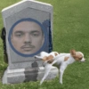 Memes.com.br 8