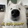 oi, turo bom?