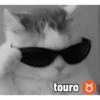 touro Ŏ α
