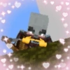 Minecraft Random 🌳🐝 21