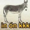 in ón kkk