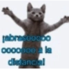 Nao 18