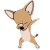 Dog salute 7