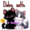 Buonanotte  26