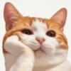 Memes gatos e cachorros 14