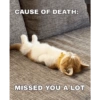 CAUSE OF DEATH: MISSED YOU A LOT