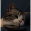 Sad 9